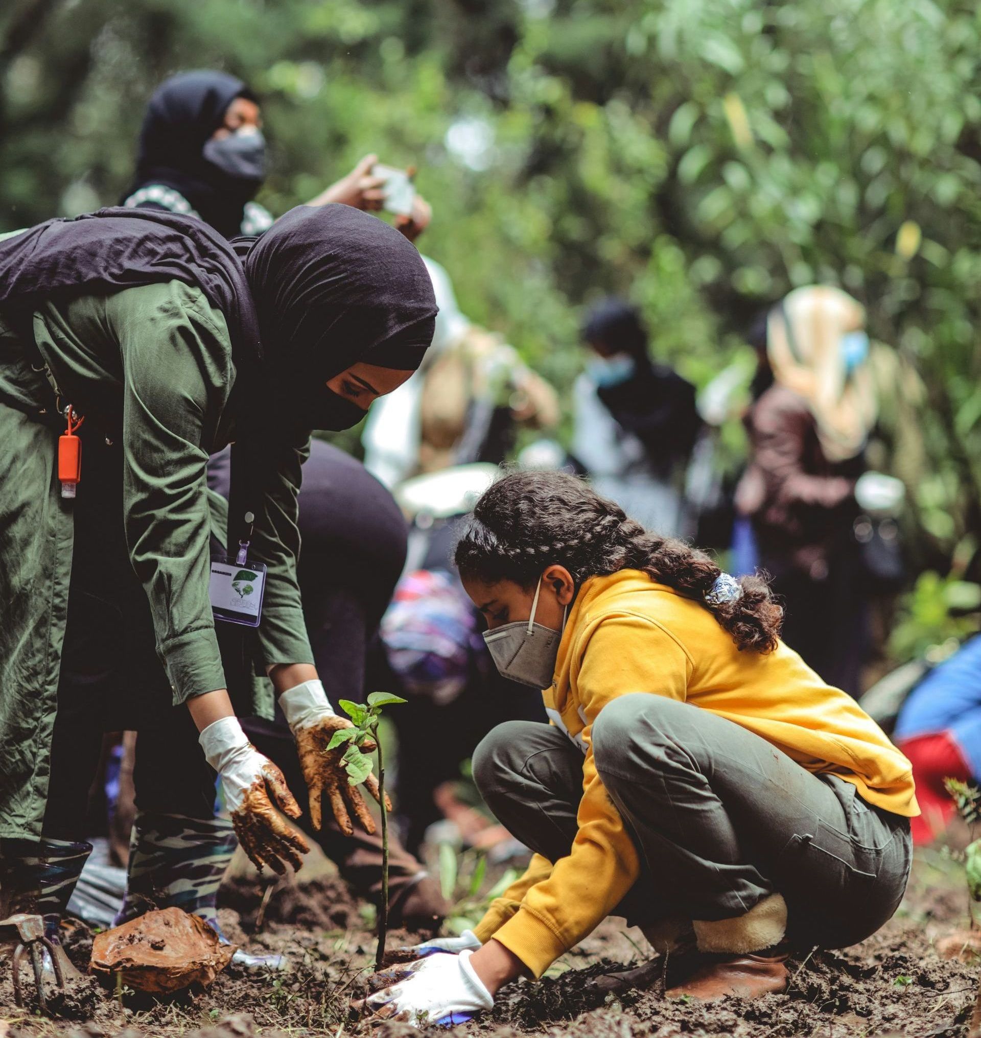 A group of people wearing masks are planting trees in the dirt.