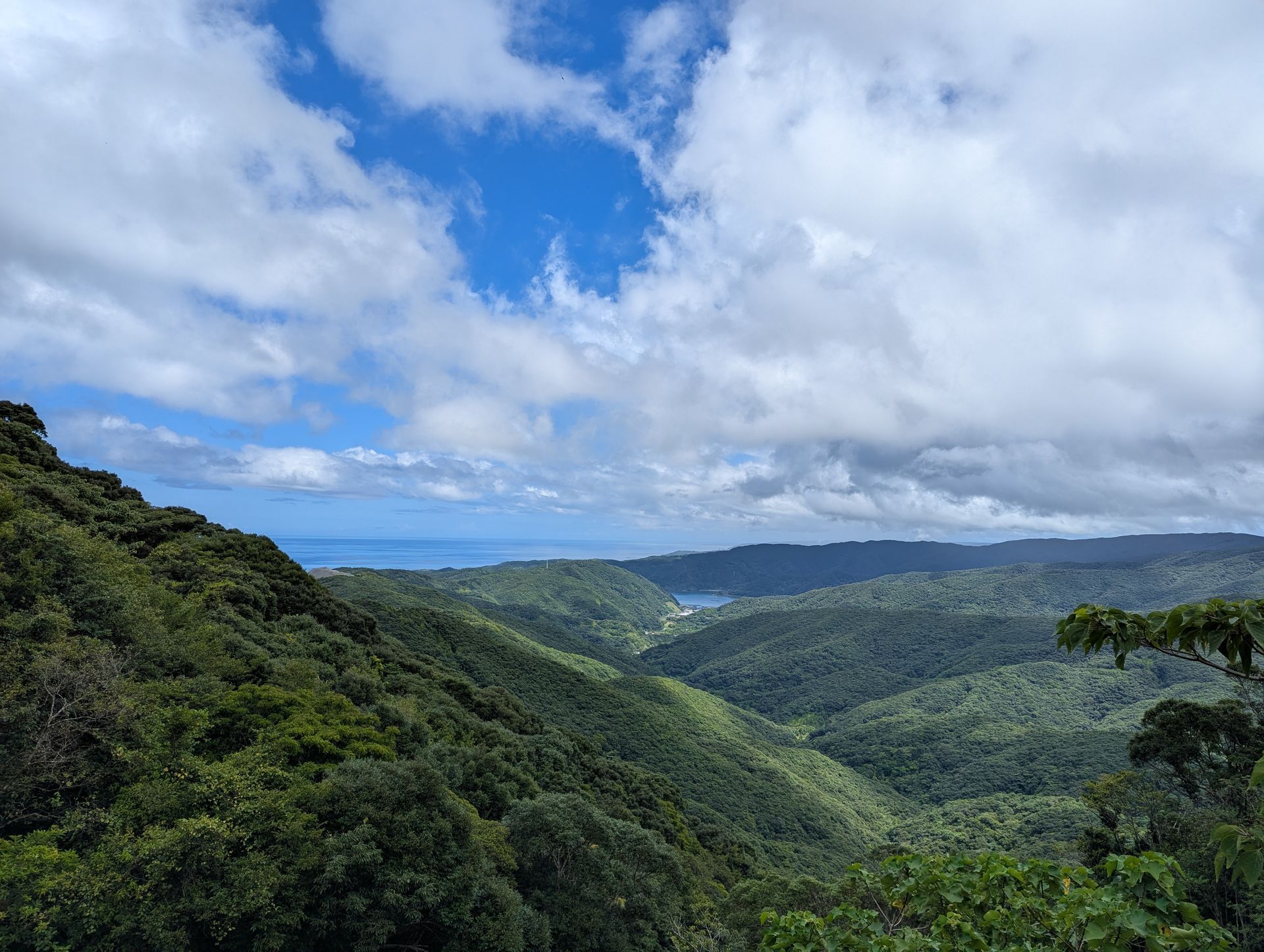 Rolling green hills under a cloudy sky, with a glimpse of the sea in the distance.