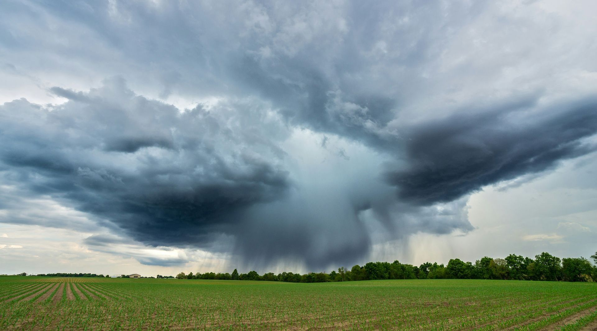 A large storm cloud is moving over a green field.