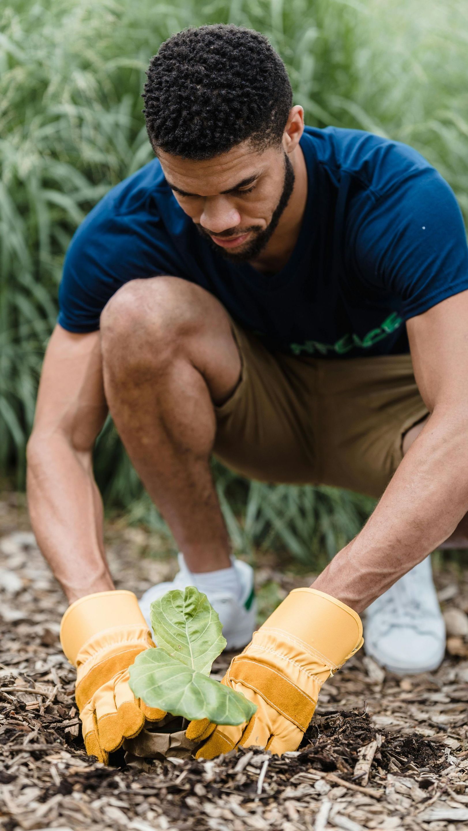 A man is kneeling down in the dirt planting a plant.