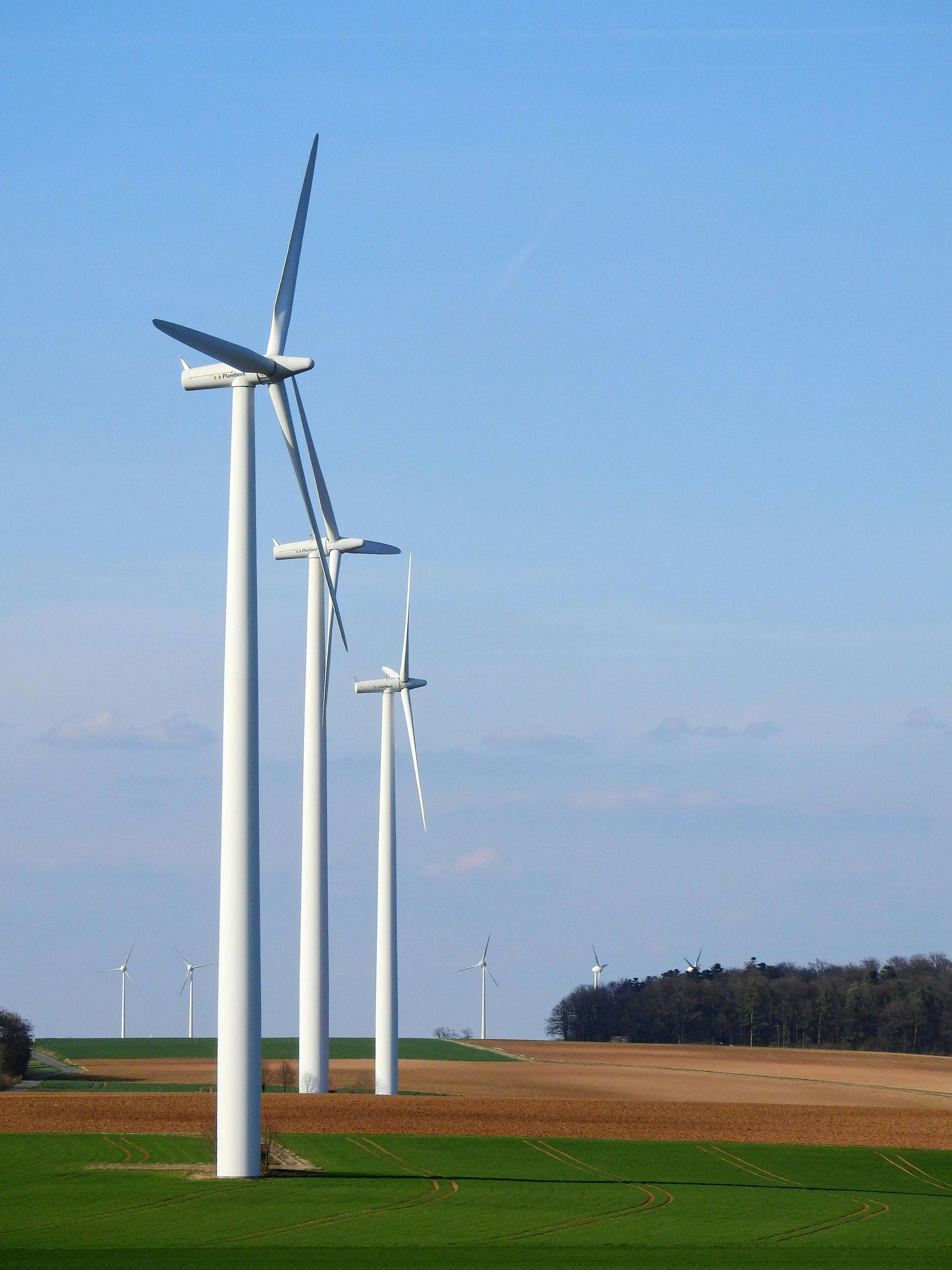 A row of wind turbines in a field on a sunny day