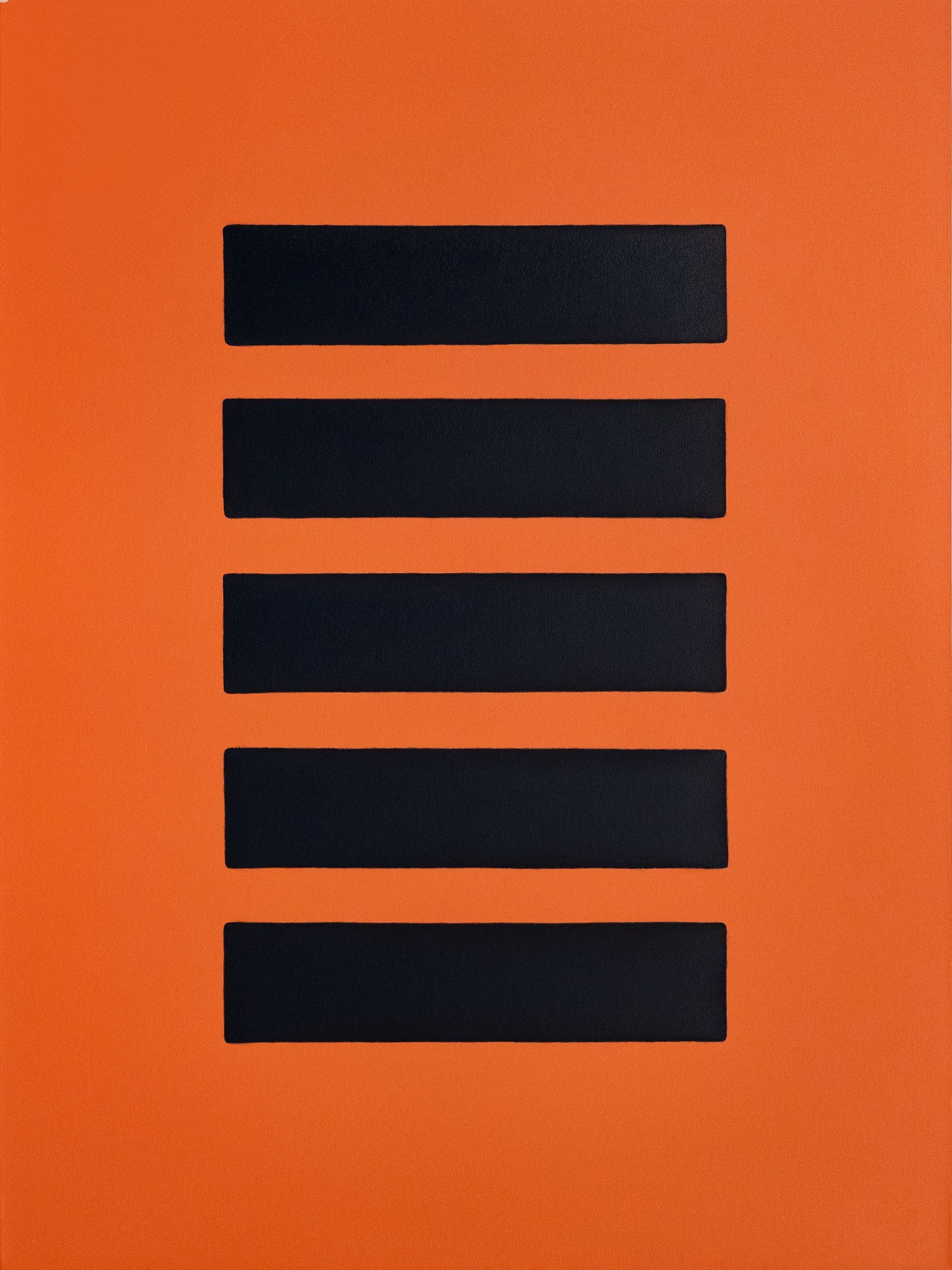 Fences, Dark Blue on Salmon