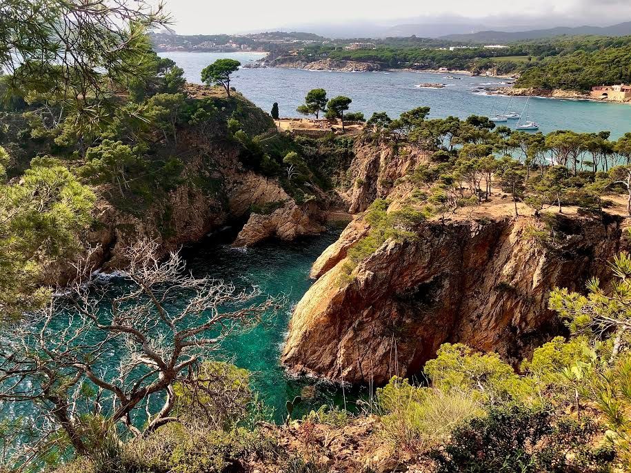 A view of a cliff overlooking a body of water surrounded by trees.
