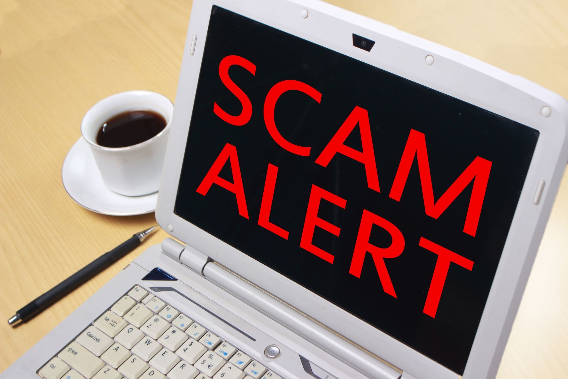 seo scams