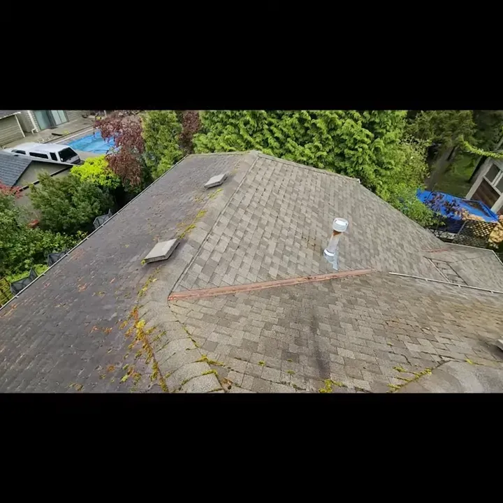 Overhead view of a weathered asphalt shingle roof with moss, and a chimney. Backyard with trees and a pool in the background.