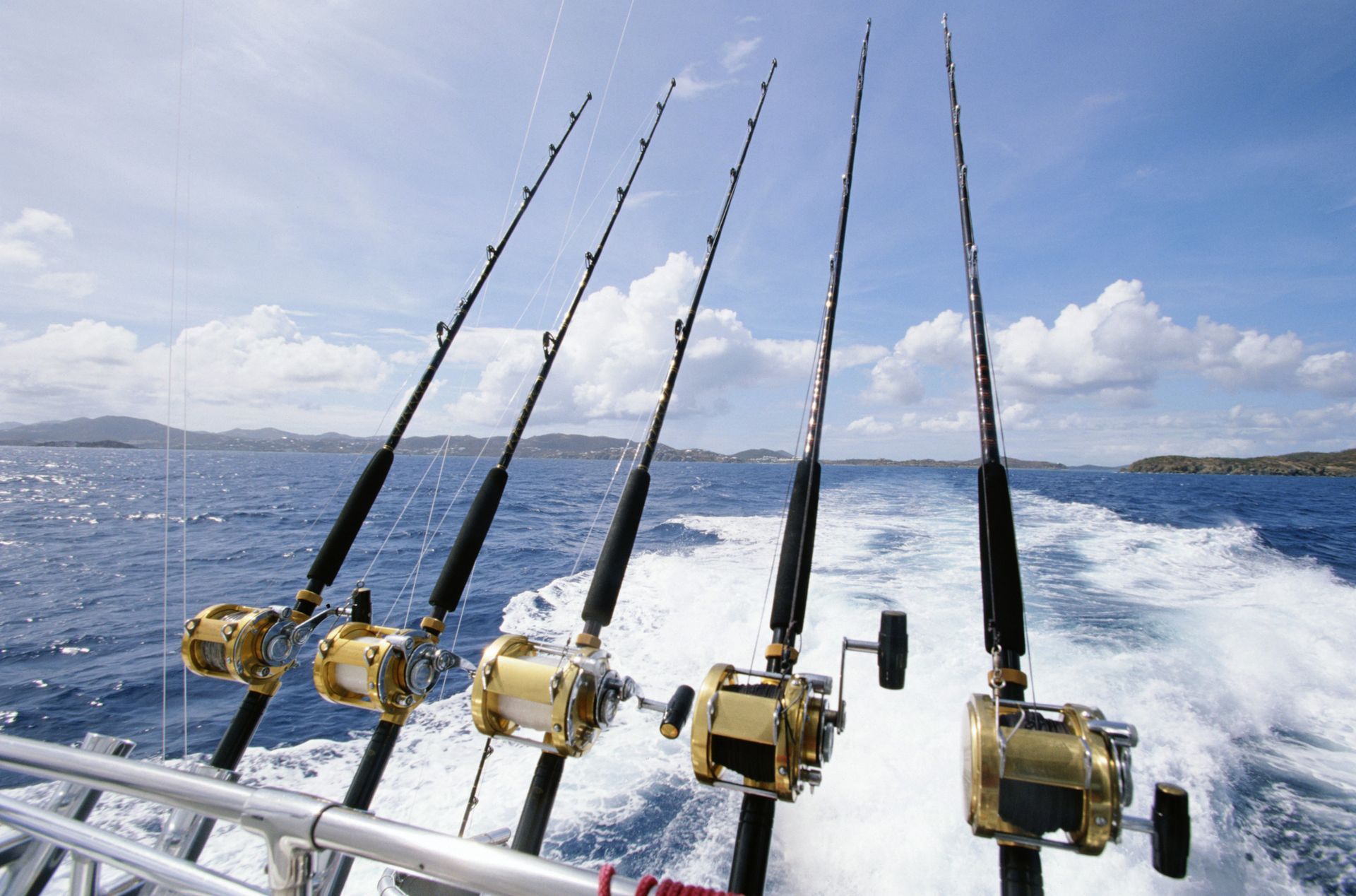 attrezzatura da pesca