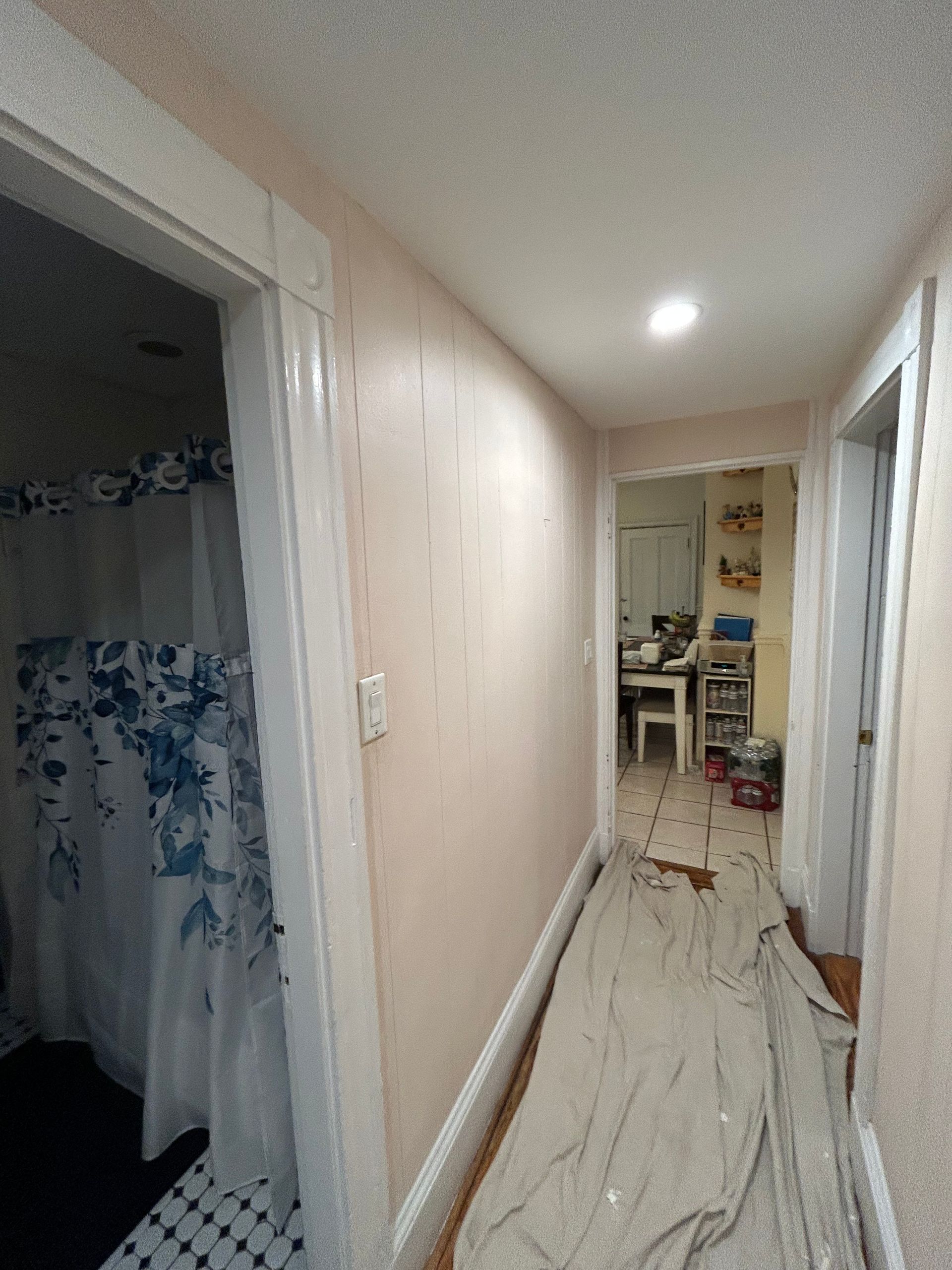 A hallway with a shower curtain on the wall and a blanket on the floor.