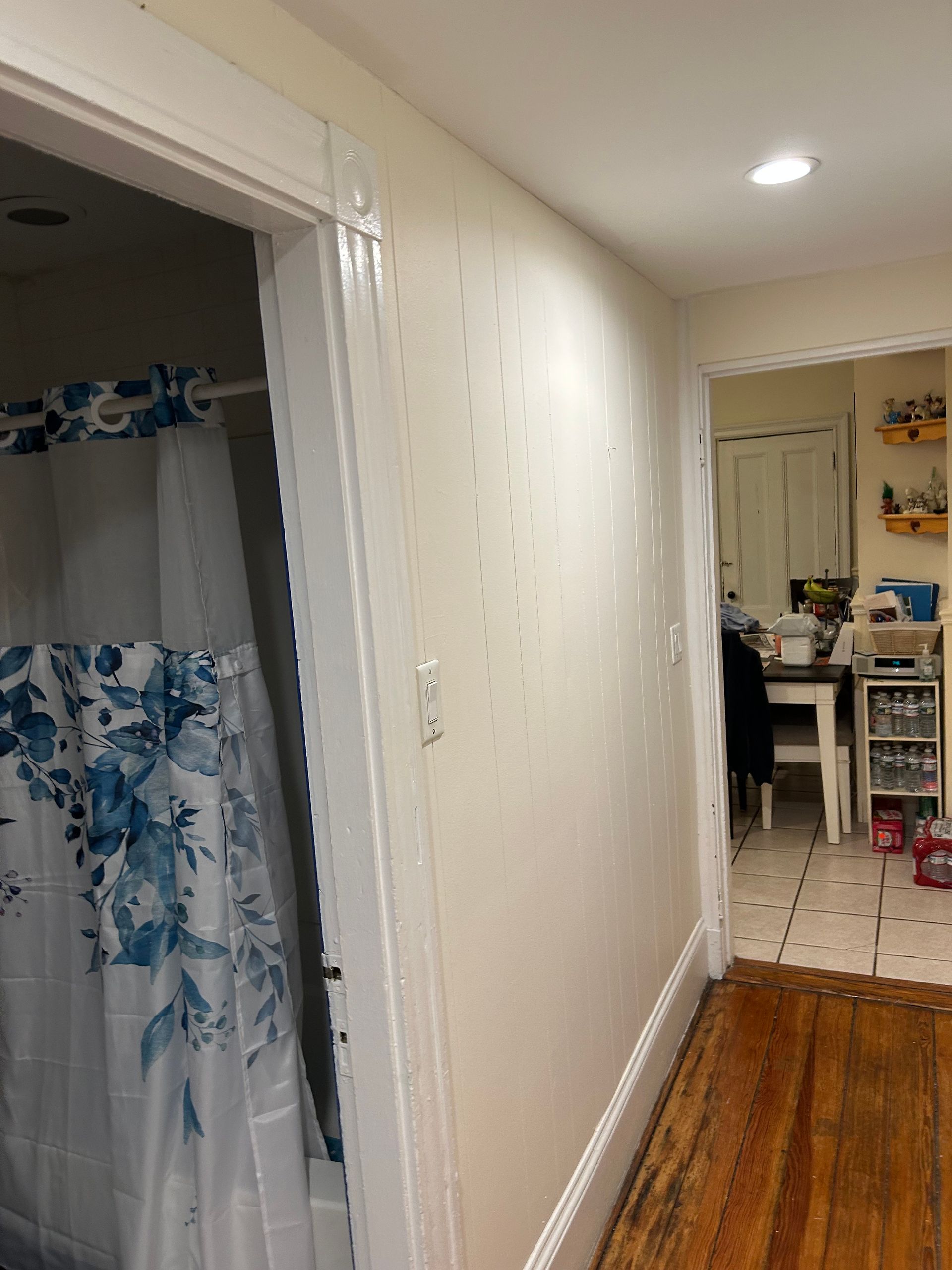 A hallway leading to a bathroom with a shower curtain hanging on the wall.