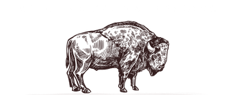 Williams Capital Lending