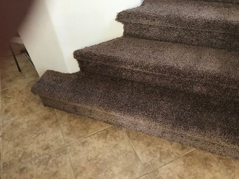 A close up of a set of stairs with carpet on them.