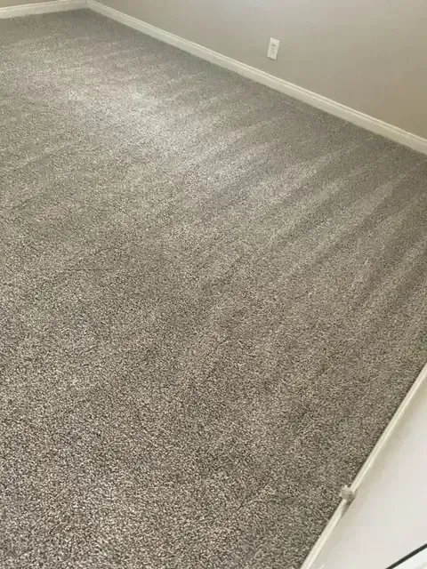 A large carpeted floor in a room with a white trim.