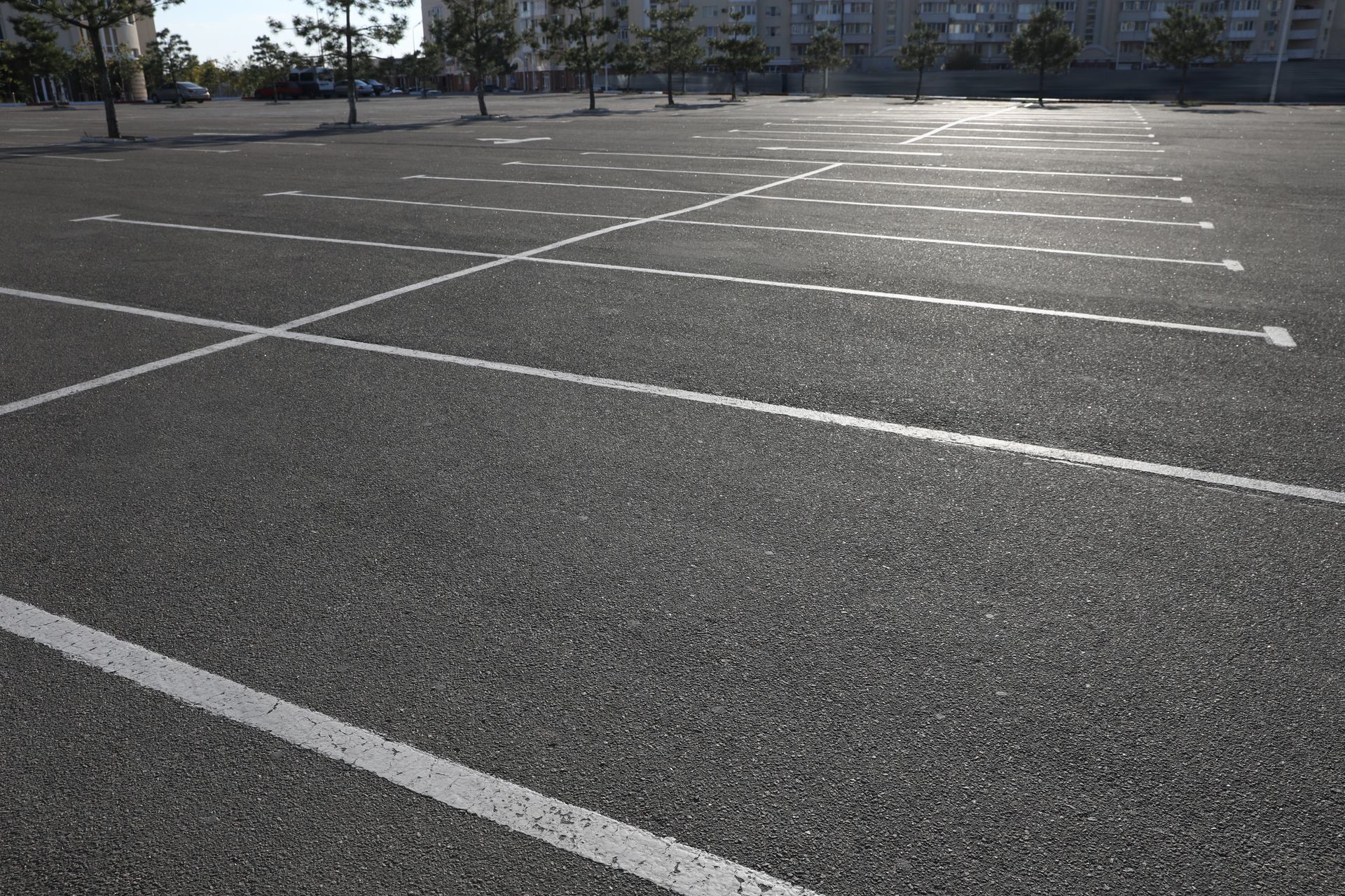 An empty outdoor parking lot with white painted markings on gray asphalt under bright sunlight.