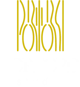 Caso de éxito: desarrollo de identidad visual para Portoro Studio con branding refinado.