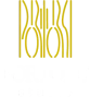 Logotipo de Portoro Studio diseñado por AGANTMEDIA como parte de su branding visual exclusivo y personalizado
