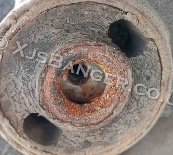 Jaguat Radius Arm Large Bush botom view