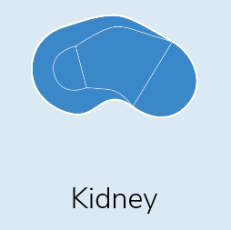 Kidney Shape Pool - Delaware, OH - Outdoor Living Pools & Patio