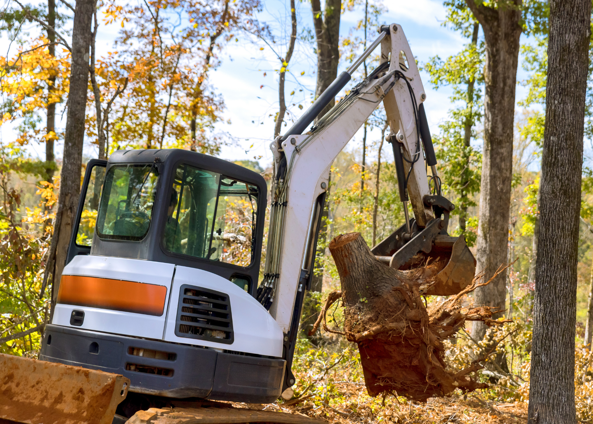 A small excavator is moving a large tree stump on a wooded piece of land.