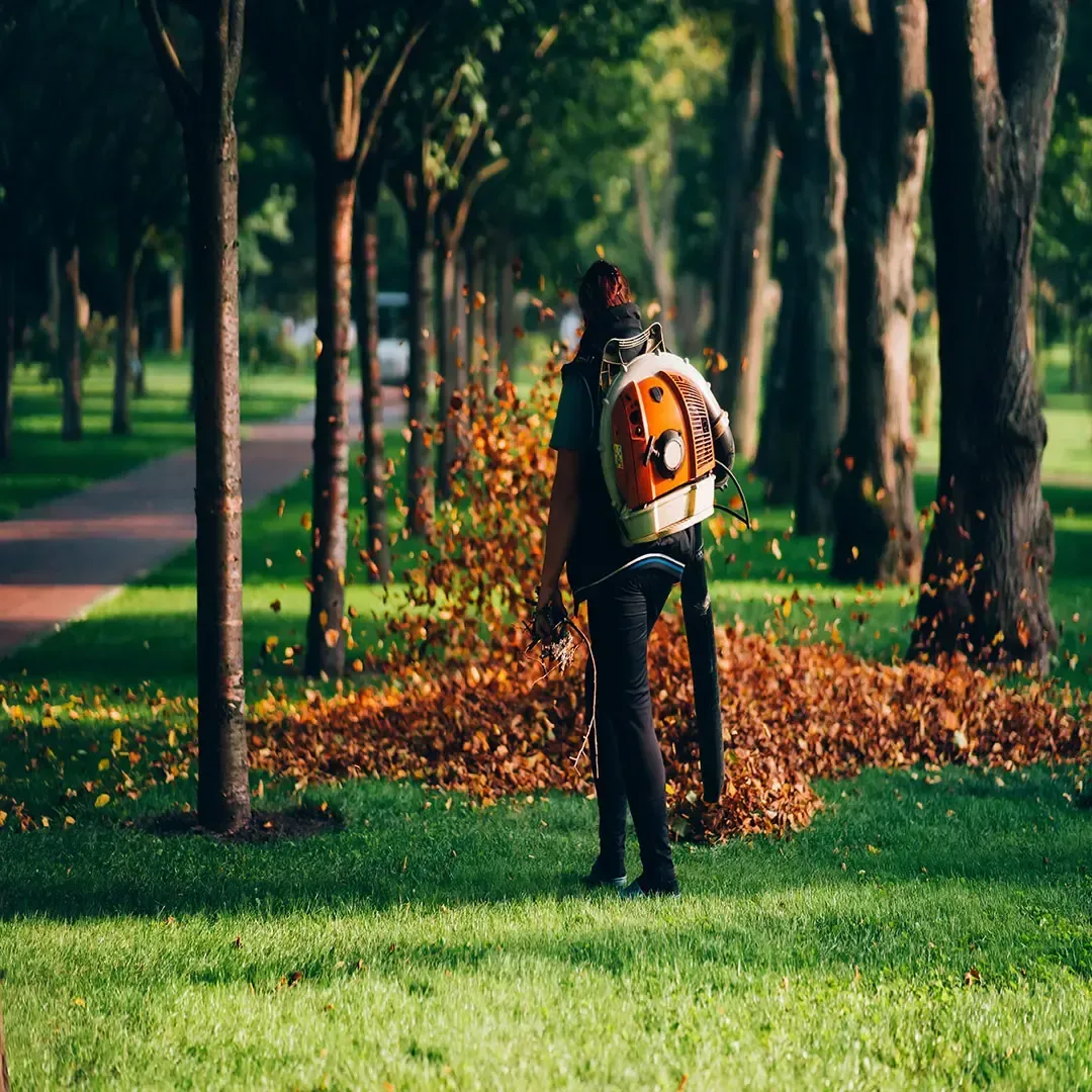 Spring clean-up for HOA property in Vernon Hills