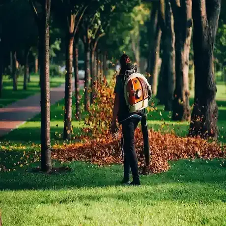 A man is blowing leaves in a park with a backpack.