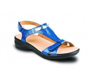 Sta Monica Blue Snake