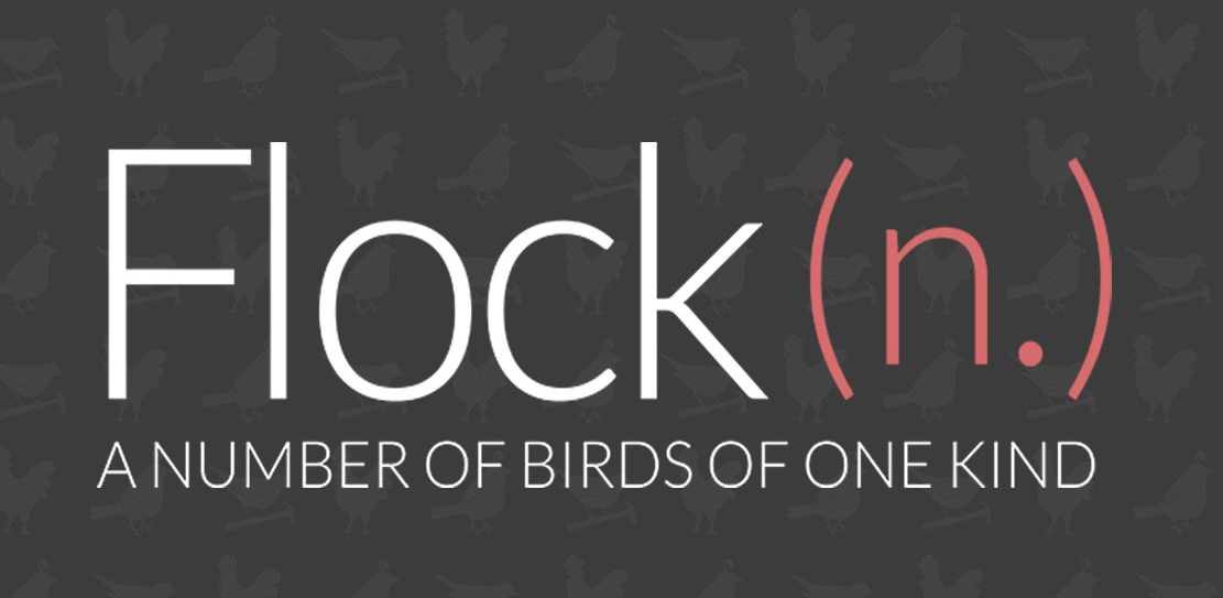 Flock Graphic