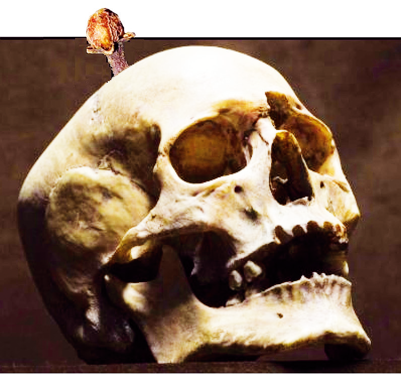 EL CLAVO d Pedro Antonio Alarcón