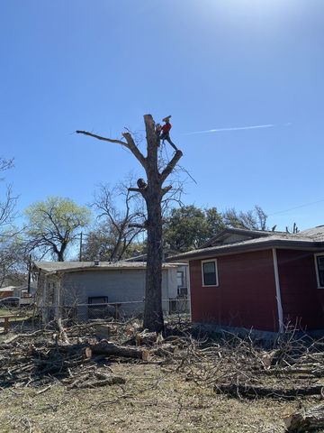 An arborist wearing safety gear uses a chainsaw to trim a tree branch from a yellow aerial lift bucket.