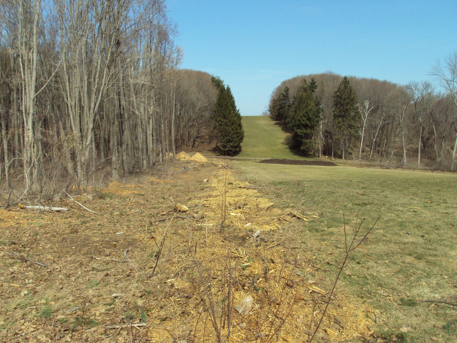 Before Crane Estate Renovation — Lynn, MA — Leahy Landscaping, Inc.