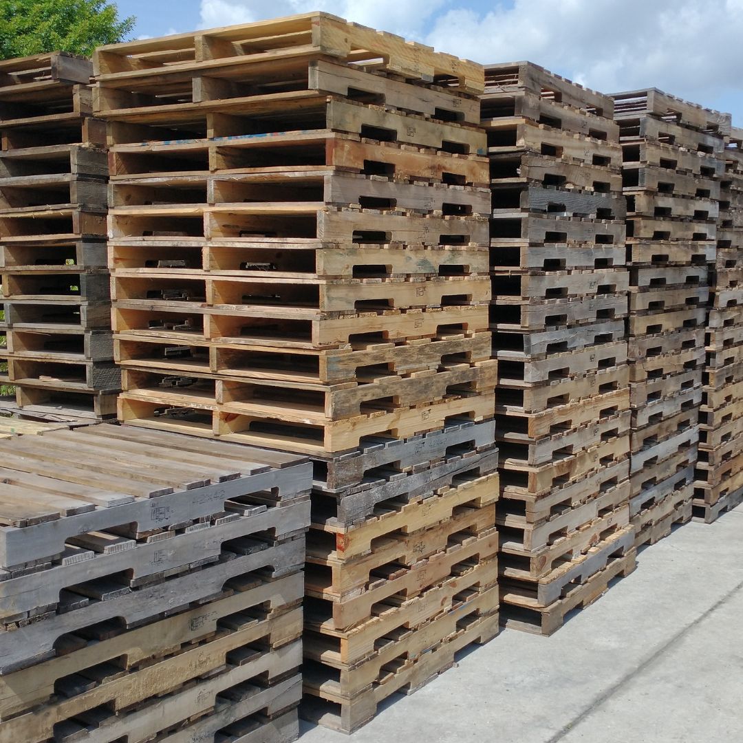 View of Heat Treated Pallets