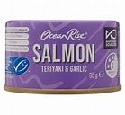 OCEAN RISE Teriyaki And Garlic Salmon 95g