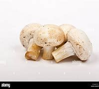 Champignon whole