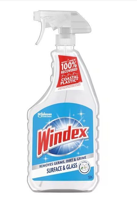 Surface cleaner