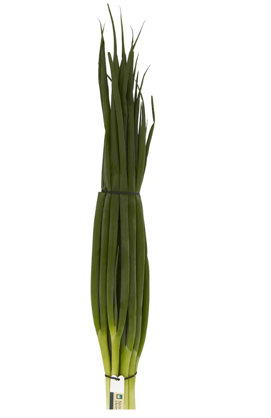 Spring onion
