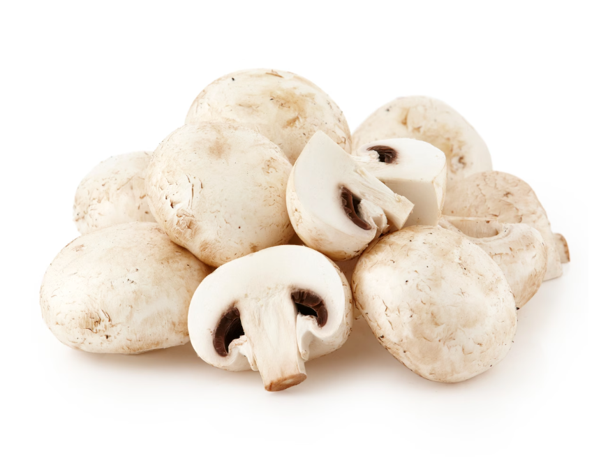 Mushroom cup loose