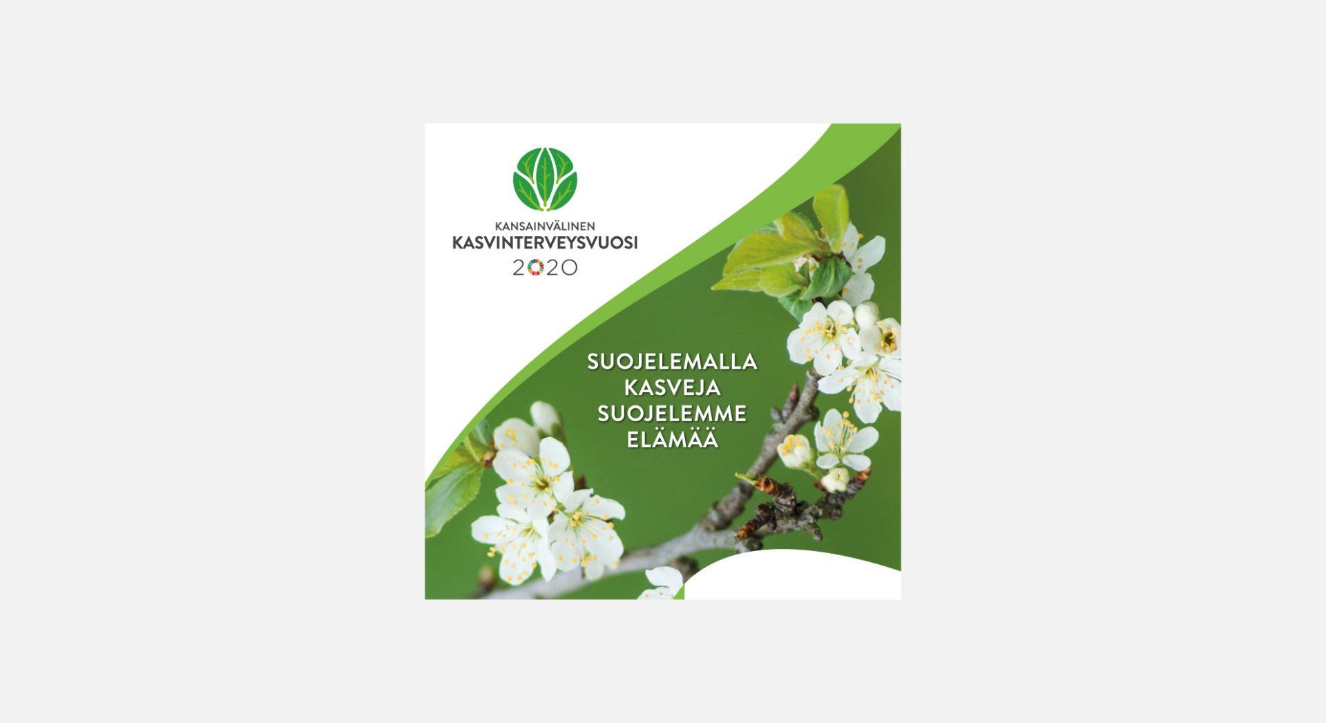 Aini Design Oy somekampanjan visuaalinen suunnittelu