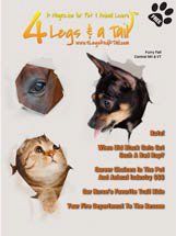 animals heads breaking through paper on magazine cover