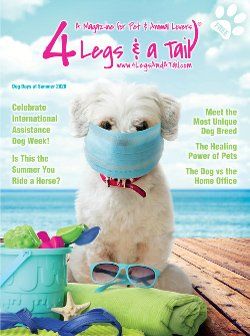 small white dog wearing mask on magazine cover