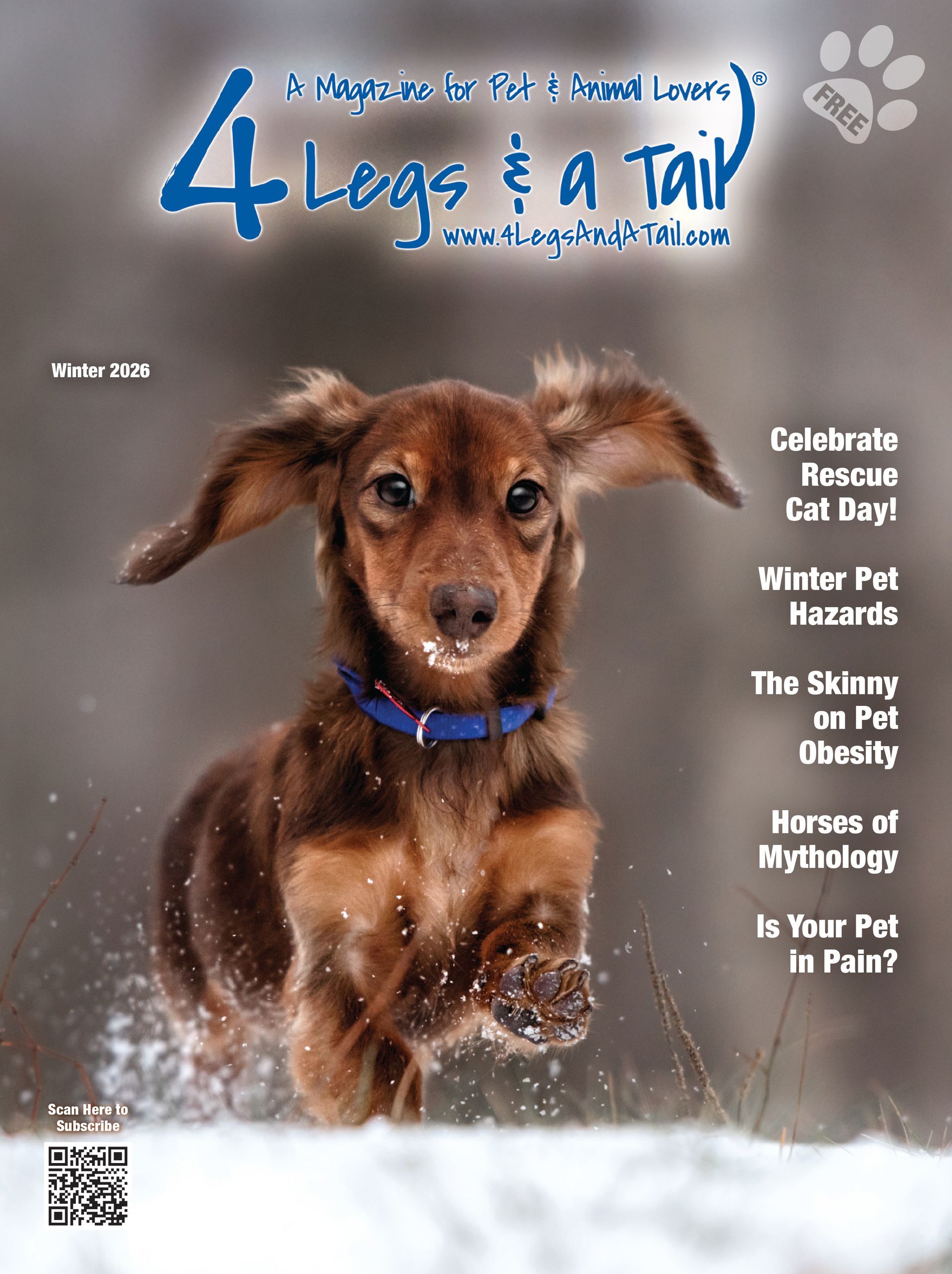 Winter 2025 4 Legs & A Tail Magazine