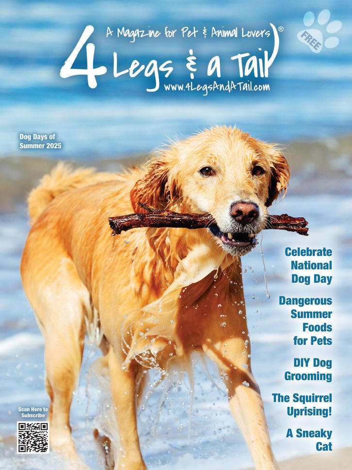 Spring 2025 4 Legs & A Tail Magazine