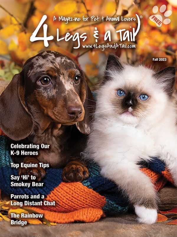 4 Legs & A Tail Magazines