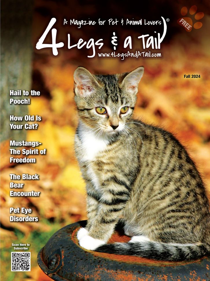 Spring 2024 4 Legs & A Tail Magazine