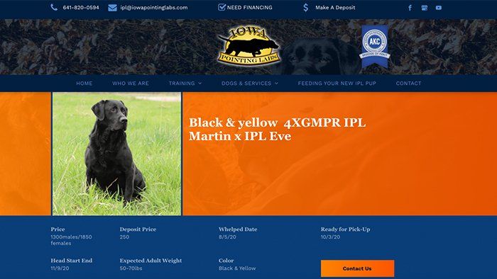 Iowa Pointing Labs Website home page
