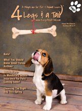 beagle trying to catch a bone on magazine cover