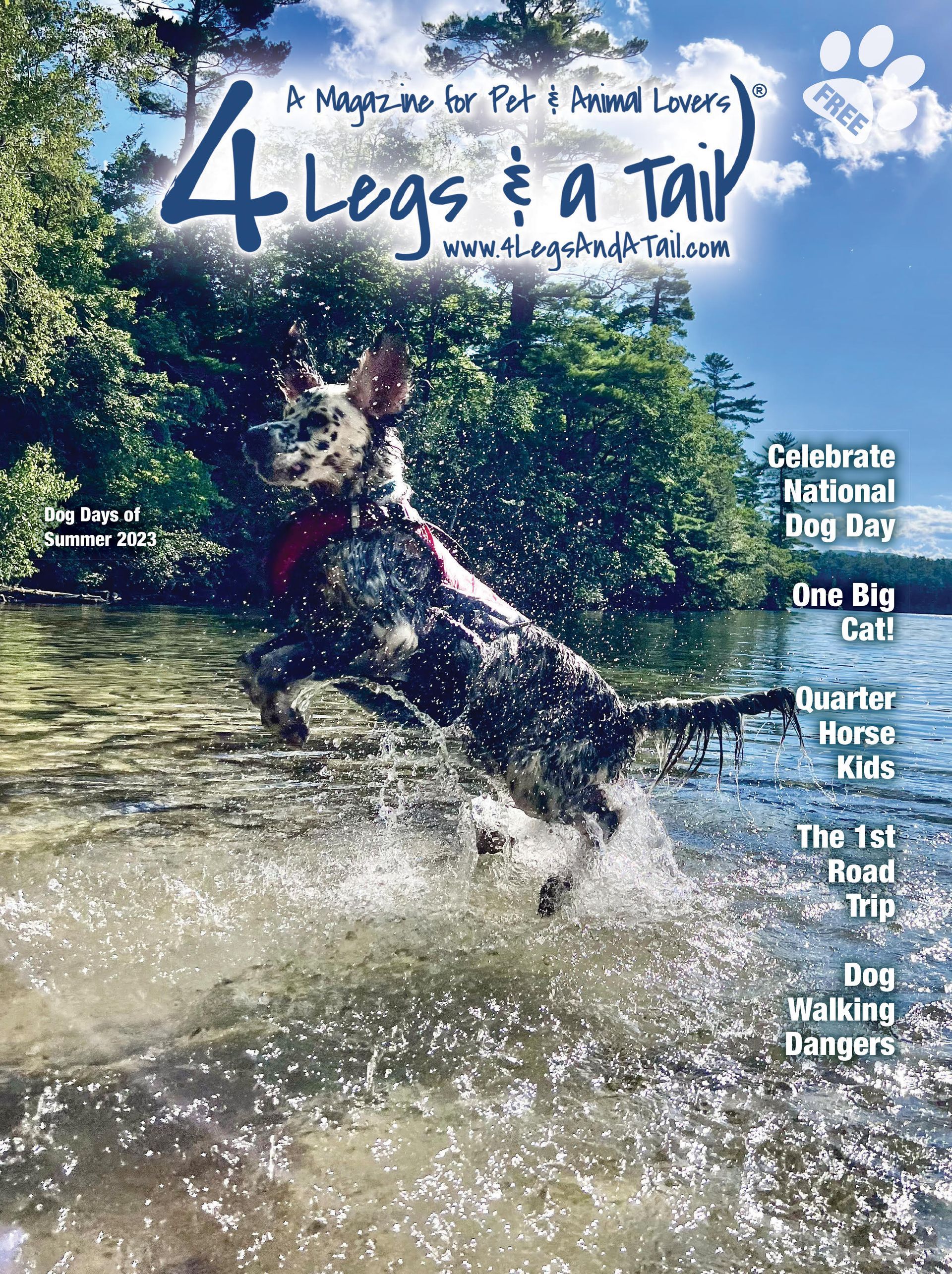 a dog is jumping into a body of water on the cover of a magazine .
