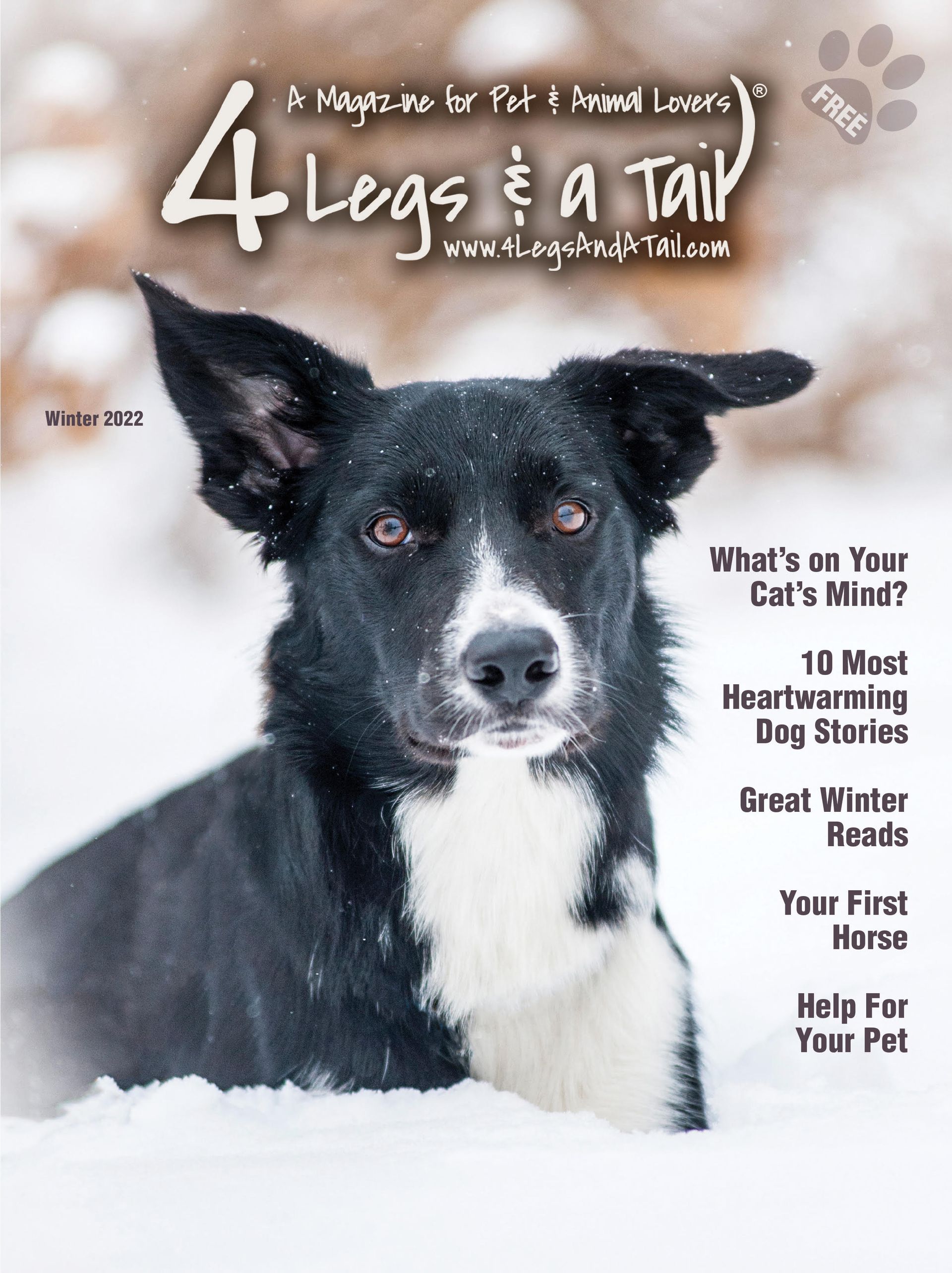 a black and white dog is on the cover of a magazine