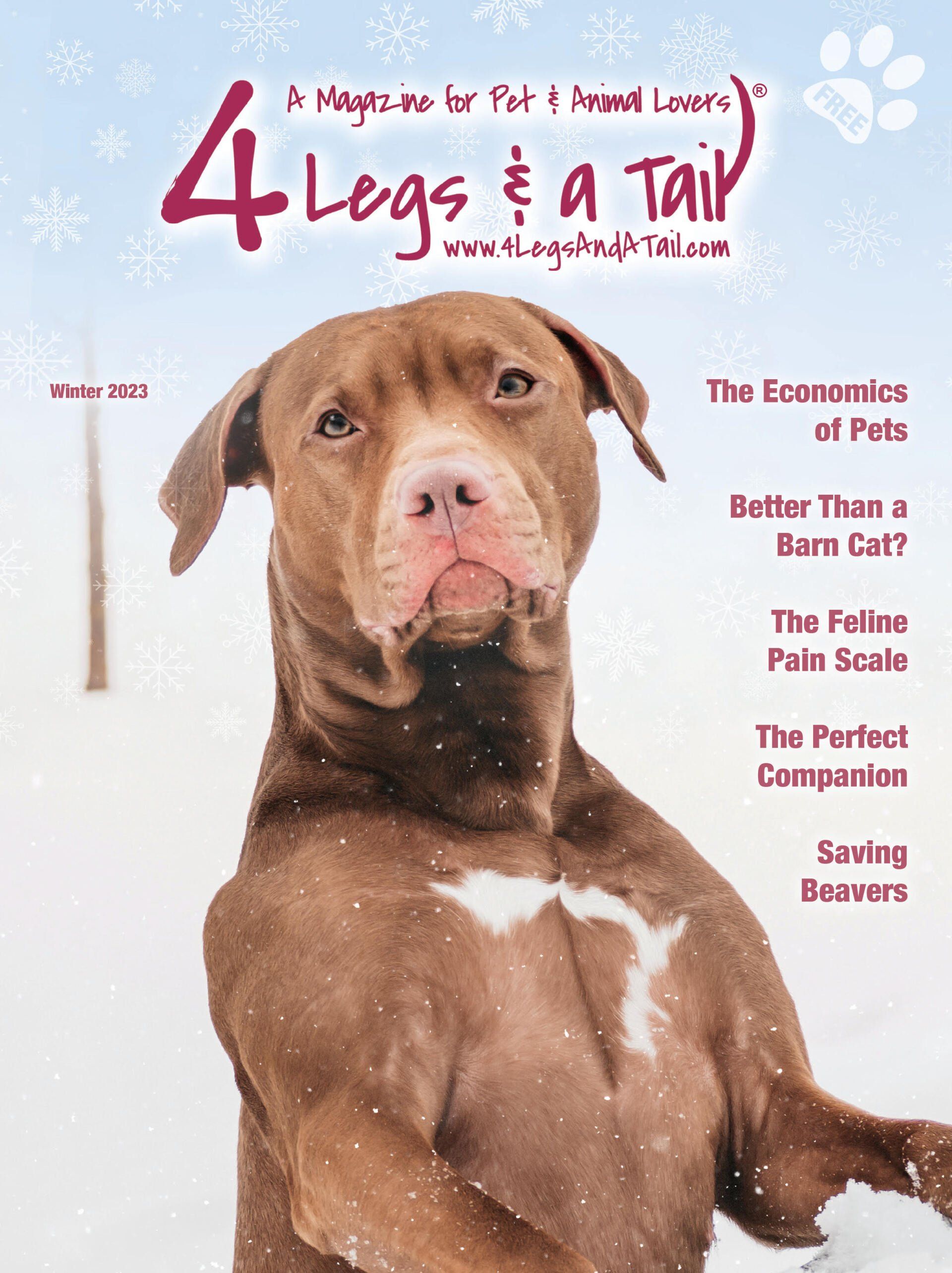 a brown dog is on the cover of a magazine called 4 legs a tail