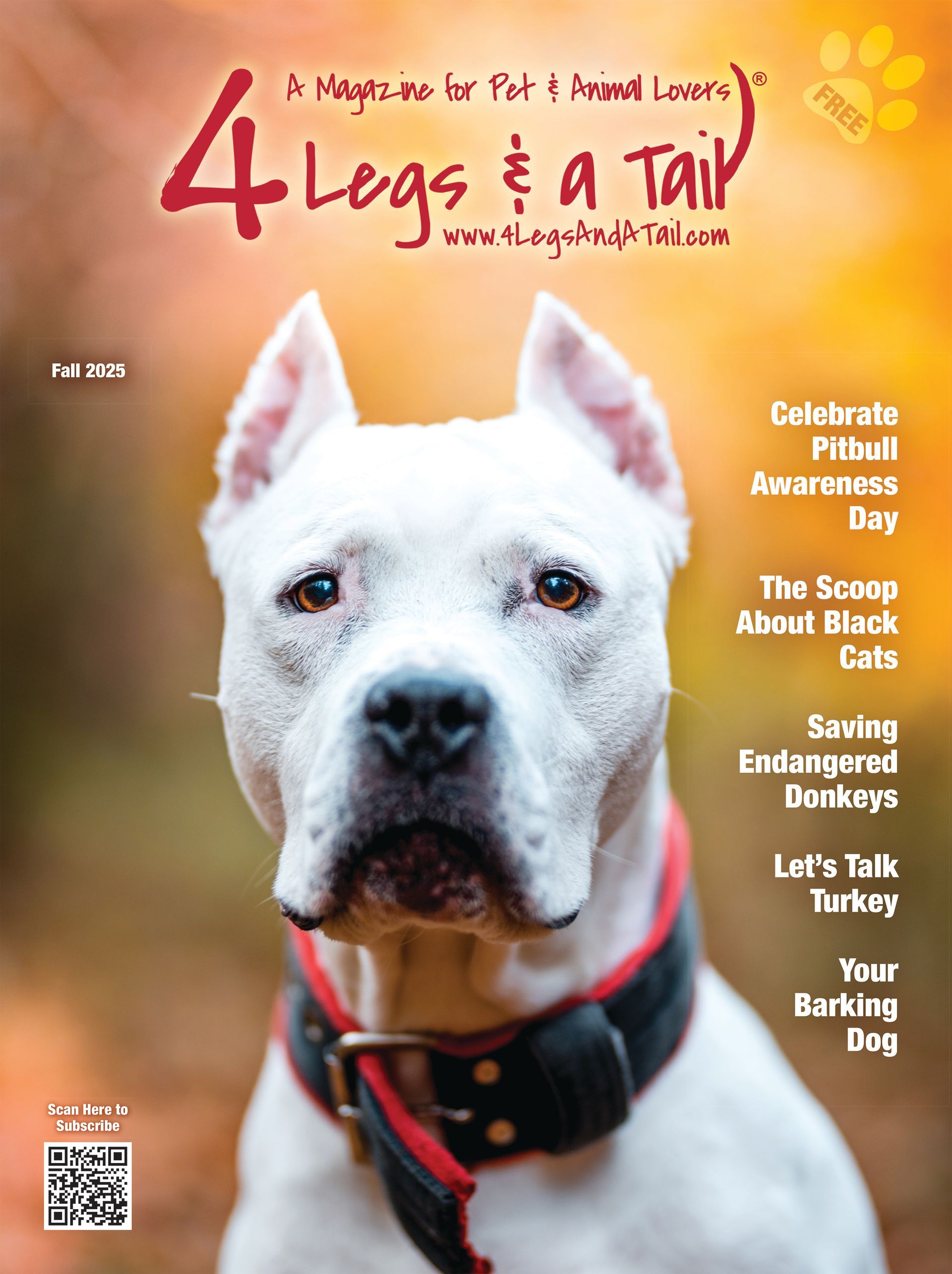 a brown and white dog is on the cover of a magazine called 4 legs & a tail