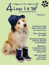 long haired dog wearing hat and boots on magazine cover
