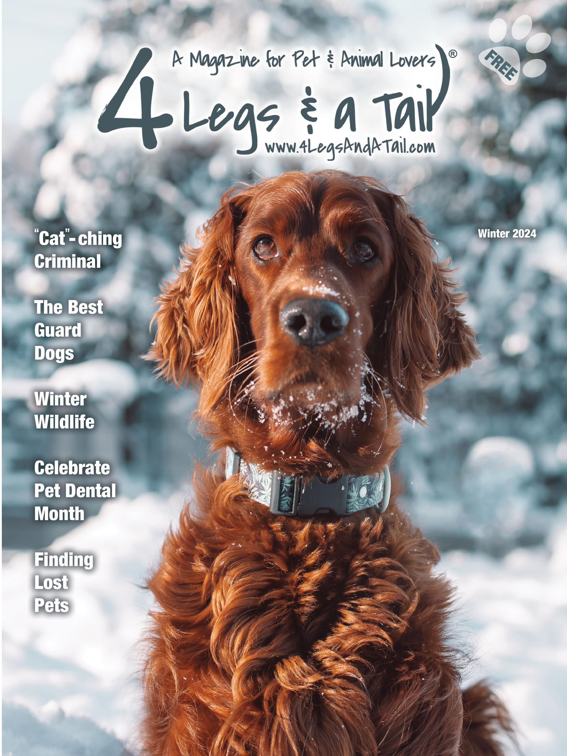 a brown dog is sitting in the snow on the cover of a magazine .