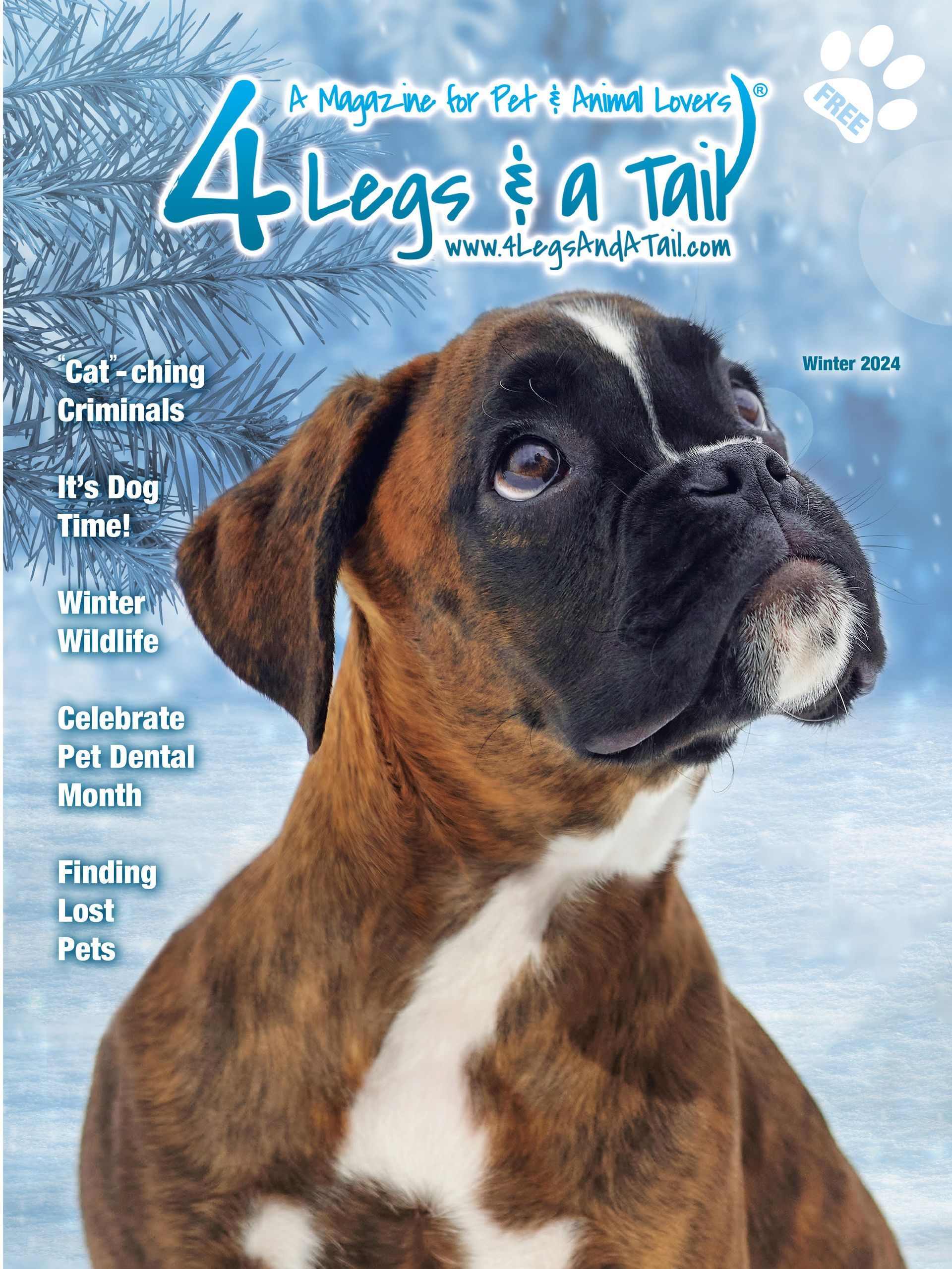 a brown and white dog is on the cover of a magazine called 4 legs & a tail